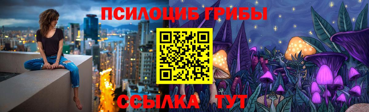 Псилоцибиновые грибы Cubensis  Вход с VPN  Горно-Алтайск  Галлюциногенные грибы прущие грибы 